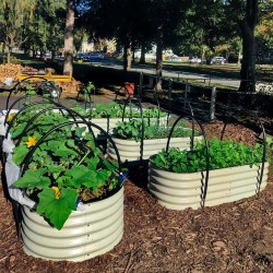 17" Tall 5'x2' Metal Raised Garden Beds (4 in 1)
