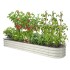 11'' Tall 8x2 Metal Raised Garden Beds (9 in 1)