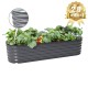 17'' Tall 6.5x2 Metal Raised Garden Beds (6 in 1)