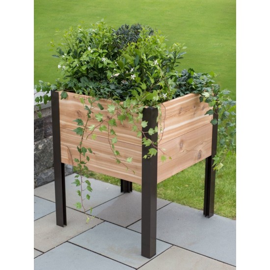 2' x 2' Elevated Cedar Planter Box, Natural