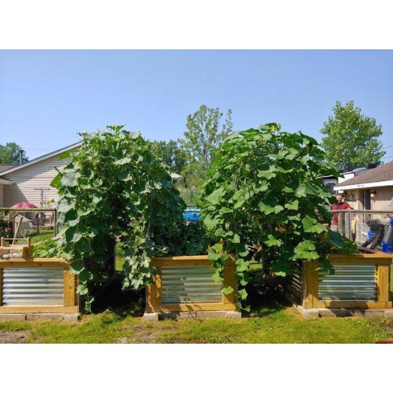 Vegeta Corrugated Metal Raised Garden Bed