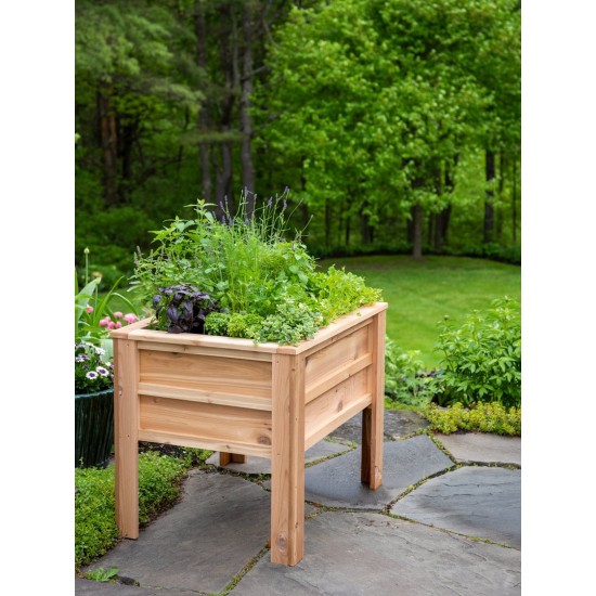 Craftsbury Elevated Raised Beds