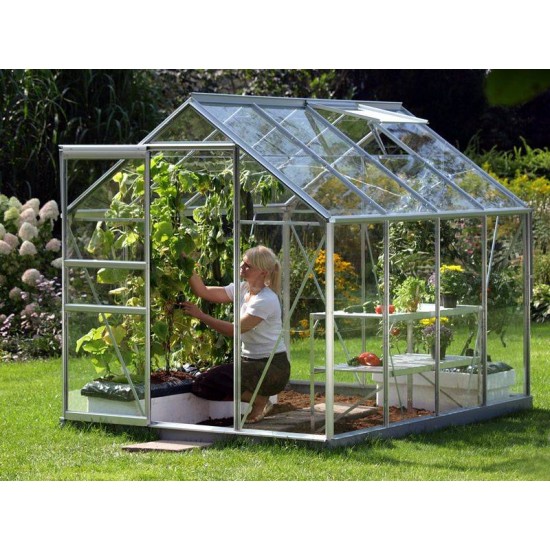 【Home&Garden】Vitavia 8x6 Venus 5000 Greenhouse - Horticultural Glass