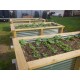 Vegeta Corrugated Metal Raised Garden Bed
