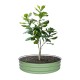 8'' Tall 42'' Round Metal Raised Garden Beds
