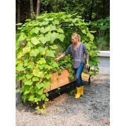"EcoGrow Self-Watering Elevated Garden Bed with Clever Arch"