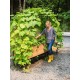"EcoGrow Self-Watering Elevated Garden Bed with Clever Arch"