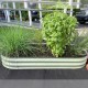 8'' Tall 5'x2' Metal Raised Garden Beds (4 in 1)