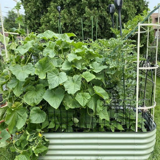 Wall Trellis (Zn-Al-Mg stainless steel) For 8 ft.L / 6.5 ft.L