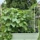 Wall Trellis (Zn-Al-Mg stainless steel) For 8 ft.L / 6.5 ft.L