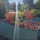 32'' Tall 8'x2' Metal Raised Garden Beds (9 in 1)