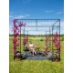 Exeter Gazebo