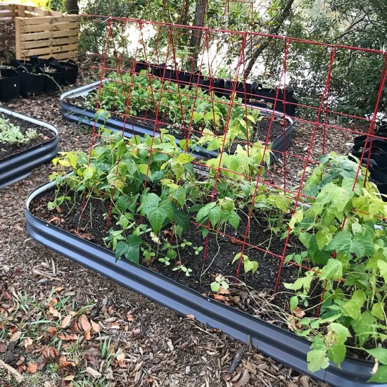 8'' Tall 8'x2' Metal Raised Garden Beds (9 in 1)